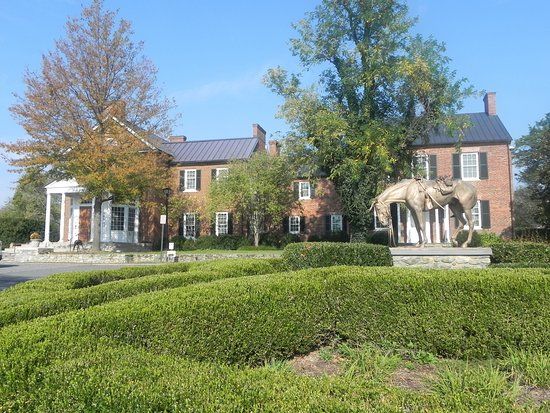 Musée National Sporting Library